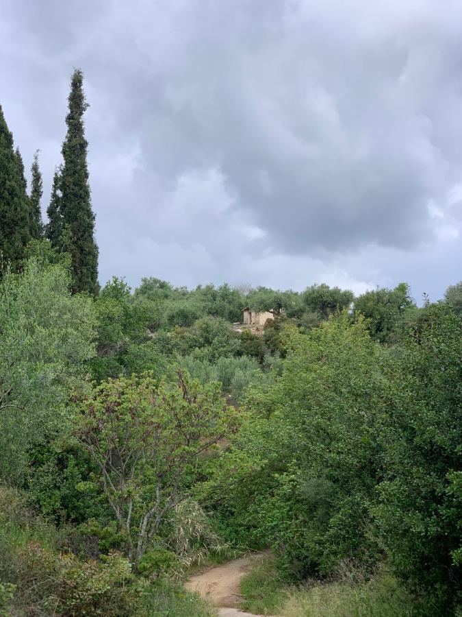 Villa Delfini Chrani Exterior foto